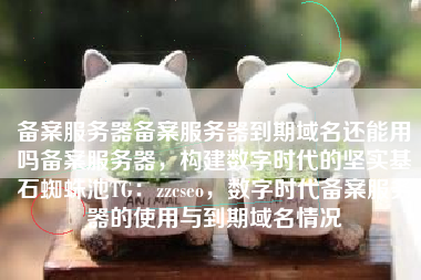 备案服务器备案服务器到期域名还能用吗备案服务器，构建数字时代的坚实基石蜘蛛池TG：zzcseo，数字时代备案服务器的使用与到期域名情况
