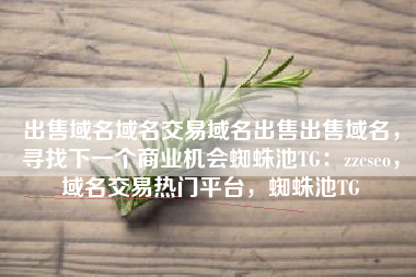 出售域名域名交易域名出售出售域名，寻找下一个商业机会蜘蛛池TG：zzcseo，域名交易热门平台，蜘蛛池TG
