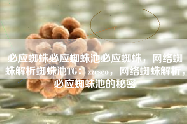 必应蜘蛛必应蜘蛛池必应蜘蛛，网络蜘蛛解析蜘蛛池TG：zzcseo，网络蜘蛛解析，必应蜘蛛池的秘密