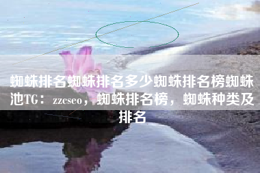 蜘蛛排名蜘蛛排名多少蜘蛛排名榜蜘蛛池TG：zzcseo，蜘蛛排名榜，蜘蛛种类及排名