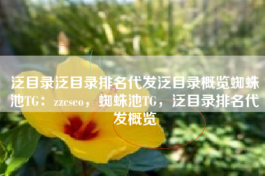 泛目录泛目录排名代发泛目录概览蜘蛛池TG:zzcseo,蜘蛛池TG,泛目录排名代发概览 泛目录泛目录排名代发泛目录概览蜘蛛池TG:zzcseo,蜘蛛池TG,泛目录排名代发概览