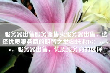 服务器出售服务器售卖服务器出售，选择优质服务商的明智之举蜘蛛池TG：zzcseo，服务器出售，优质服务商的选择