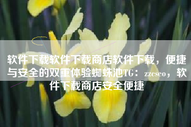 软件下载软件下载商店软件下载，便捷与安全的双重体验蜘蛛池TG：zzcseo，软件下载商店安全便捷