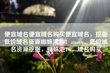 便宜域名便宜域名购买便宜域名，挖掘低价域名资源蜘蛛池TG：zzcseo，低价域名资源挖掘，蜘蛛池TG，域名购买
