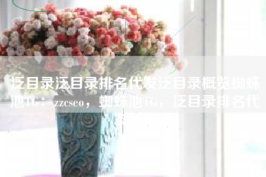 泛目录泛目录排名代发泛目录概览蜘蛛池TG：zzcseo，蜘蛛池TG，泛目录排名代发概览