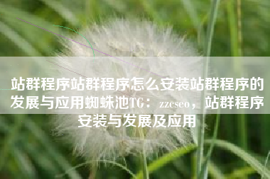 站群程序站群程序怎么安装站群程序的发展与应用蜘蛛池TG：zzcseo，站群程序安装与发展及应用