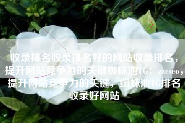 收录排名收录排名好的网站收录排名,提升网站竞争力的关键蜘蛛池TG:zzcseo,提升网站竞争力的关键,蜘蛛池TG排名收录好网站 收录排名收录排名好的网站收录排名,提升网站竞争力的关键蜘蛛池TG:zzcseo,提升网站竞争力的关键,蜘蛛池TG排名收录好网站