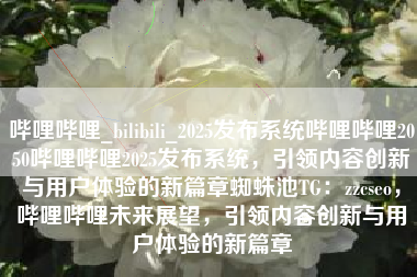 哔哩哔哩_bilibili_2025发布系统哔哩哔哩2050哔哩哔哩2025发布系统，引领内容创新与用户体验的新篇章蜘蛛池TG：zzcseo，哔哩哔哩未来展望，引领内容创新与用户体验的新篇章