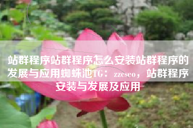 站群程序站群程序怎么安装站群程序的发展与应用蜘蛛池TG：zzcseo，站群程序安装与发展及应用