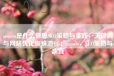 seoseo是什么意思SEO策略与实践,关键词与网站优化蜘蛛池TG:zzcseo,SEO策略与实践 seoseo是什么意思SEO策略与实践,关键词与网站优化蜘蛛池TG:zzcseo,SEO策略与实践
