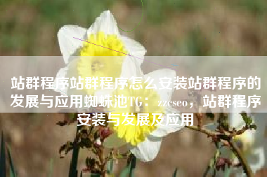 站群程序站群程序怎么安装站群程序的发展与应用蜘蛛池TG:zzcseo,站群程序安装与发展及应用 站群程序站群程序怎么安装站群程序的发展与应用蜘蛛池TG:zzcseo,站群程序安装与发展及应用