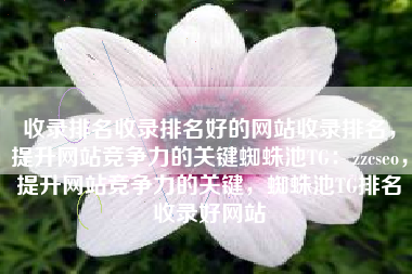 收录排名收录排名好的网站收录排名，提升网站竞争力的关键蜘蛛池TG：zzcseo，提升网站竞争力的关键，蜘蛛池TG排名收录好网站