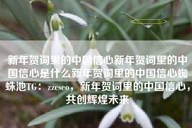 新年贺词里的中国信心新年贺词里的中国信心是什么新年贺词里的中国信心蜘蛛池TG：zzcseo，新年贺词里的中国信心，共创辉煌未来