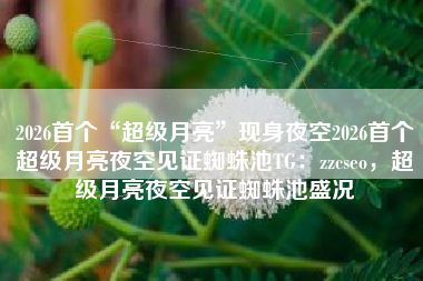 2026首个“超级月亮”现身夜空2026首个超级月亮夜空见证蜘蛛池TG：zzcseo，超级月亮夜空见证蜘蛛池盛况