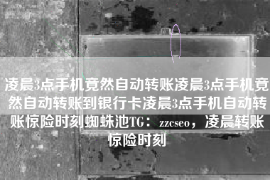凌晨3点手机竟然自动转账凌晨3点手机竟然自动转账到银行卡凌晨3点手机自动转账惊险时刻蜘蛛池TG：zzcseo，凌晨转账惊险时刻