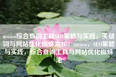 seoseo综合查询工具SEO策略与实践，关键词与网站优化蜘蛛池TG：zzcseo，SEO策略与实践，综合查询工具与网站优化蜘蛛池