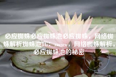 必应蜘蛛必应蜘蛛池必应蜘蛛,网络蜘蛛解析蜘蛛池TG:zzcseo,网络蜘蛛解析,必应蜘蛛池的秘密 必应蜘蛛必应蜘蛛池必应蜘蛛,网络蜘蛛解析蜘蛛池TG:zzcseo,网络蜘蛛解析,必应蜘蛛池的秘密