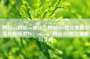 网站seo网站seo是什么网站SEO优化策略与实践蜘蛛池TG:zzcseo,网站SEO优化策略与实践 网站seo网站seo是什么网站SEO优化策略与实践蜘蛛池TG:zzcseo,网站SEO优化策略与实践