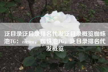 泛目录泛目录排名代发泛目录概览蜘蛛池TG：zzcseo，蜘蛛池TG，泛目录排名代发概览