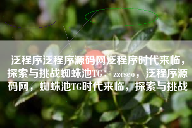泛程序泛程序源码网泛程序时代来临,探索与挑战蜘蛛池TG:zzcseo,泛程序源码网,蜘蛛池TG时代来临,探索与挑战 泛程序泛程序源码网泛程序时代来临,探索与挑战蜘蛛池TG:zzcseo,泛程序源码网,蜘蛛池TG时代来临,探索与挑战