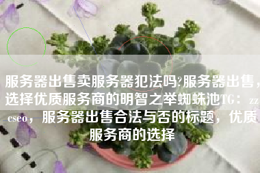服务器出售卖服务器犯法吗?服务器出售，选择优质服务商的明智之举蜘蛛池TG：zzcseo，服务器出售合法与否的标题，优质服务商的选择