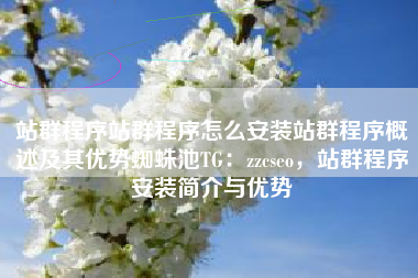 站群程序站群程序怎么安装站群程序概述及其优势蜘蛛池TG:zzcseo,站群程序安装简介与优势 站群程序站群程序怎么安装站群程序概述及其优势蜘蛛池TG:zzcseo,站群程序安装简介与优势