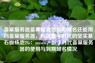 备案服务器备案服务器到期域名还能用吗备案服务器,构建数字时代的坚实基石蜘蛛池TG:zzcseo,数字时代备案服务器的使用与到期域名情况 备案服务器备案服务器到期域名还能用吗备案服务器,构建数字时代的坚实基石蜘蛛池TG:zzcseo,数字时代备案服务器的使用与到期域名情况