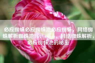 必应蜘蛛必应蜘蛛池必应蜘蛛，网络蜘蛛解析蜘蛛池TG：zzcseo，网络蜘蛛解析，必应蜘蛛池的秘密