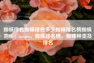 蜘蛛排名蜘蛛排名多少蜘蛛排名榜蜘蛛池TG：zzcseo，蜘蛛排名榜，蜘蛛种类及排名