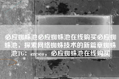 必应蜘蛛池必应蜘蛛池在线购买必应蜘蛛池,探索网络蜘蛛技术的新篇章蜘蛛池TG:zzcseo,必应蜘蛛池在线购买 必应蜘蛛池必应蜘蛛池在线购买必应蜘蛛池,探索网络蜘蛛技术的新篇章蜘蛛池TG:zzcseo,必应蜘蛛池在线购买