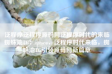 泛程序泛程序源码网泛程序时代的来临蜘蛛池TG：zzcseo，泛程序时代来临，蜘蛛池TG引领源码网新篇章