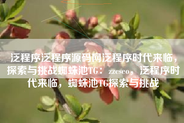 泛程序泛程序源码网泛程序时代来临，探索与挑战蜘蛛池TG：zzcseo，泛程序时代来临，蜘蛛池TG探索与挑战