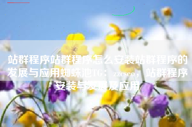 站群程序站群程序怎么安装站群程序的发展与应用蜘蛛池TG:zzcseo,站群程序安装与发展及应用 站群程序站群程序怎么安装站群程序的发展与应用蜘蛛池TG:zzcseo,站群程序安装与发展及应用