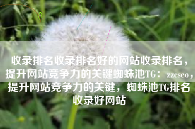 收录排名收录排名好的网站收录排名，提升网站竞争力的关键蜘蛛池TG：zzcseo，提升网站竞争力的关键，蜘蛛池TG排名收录好网站