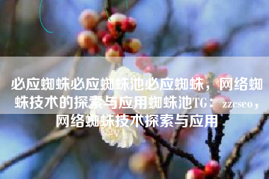 必应蜘蛛必应蜘蛛池必应蜘蛛，网络蜘蛛技术的探索与应用蜘蛛池TG：zzcseo，网络蜘蛛技术探索与应用