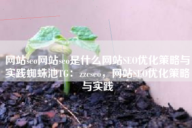 网站seo网站seo是什么网站SEO优化策略与实践蜘蛛池TG:zzcseo,网站SEO优化策略与实践 网站seo网站seo是什么网站SEO优化策略与实践蜘蛛池TG:zzcseo,网站SEO优化策略与实践