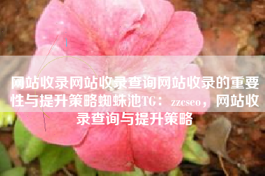 网站收录网站收录查询网站收录的重要性与提升策略蜘蛛池TG:zzcseo,网站收录查询与提升策略 网站收录网站收录查询网站收录的重要性与提升策略蜘蛛池TG:zzcseo,网站收录查询与提升策略