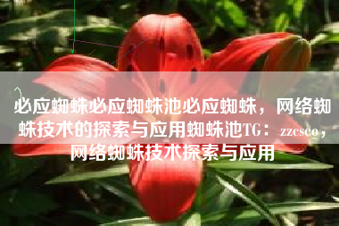 必应蜘蛛必应蜘蛛池必应蜘蛛，网络蜘蛛技术的探索与应用蜘蛛池TG：zzcseo，网络蜘蛛技术探索与应用