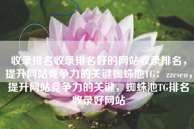 收录排名收录排名好的网站收录排名，提升网站竞争力的关键蜘蛛池TG：zzcseo，提升网站竞争力的关键，蜘蛛池TG排名收录好网站