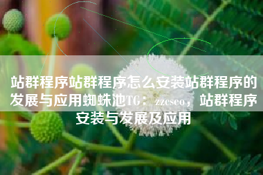 站群程序站群程序怎么安装站群程序的发展与应用蜘蛛池TG:zzcseo,站群程序安装与发展及应用 站群程序站群程序怎么安装站群程序的发展与应用蜘蛛池TG:zzcseo,站群程序安装与发展及应用
