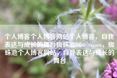 个人博客个人博客网站个人博客，自我表达与成长的舞台蜘蛛池TG：zzcseo，蜘蛛池个人博客网站，自我表达与成长的舞台