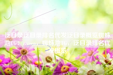 泛目录泛目录排名代发泛目录概览蜘蛛池TG：zzcseo，蜘蛛池TG，泛目录排名代发概览