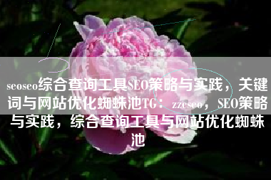 seoseo综合查询工具SEO策略与实践，关键词与网站优化蜘蛛池TG：zzcseo，SEO策略与实践，综合查询工具与网站优化蜘蛛池