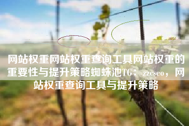 网站权重网站权重查询工具网站权重的重要性与提升策略蜘蛛池TG:zzcseo,网站权重查询工具与提升策略 网站权重网站权重查询工具网站权重的重要性与提升策略蜘蛛池TG:zzcseo,网站权重查询工具与提升策略