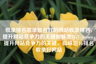 收录排名收录排名好的网站收录排名，提升网站竞争力的关键蜘蛛池TG：zzcseo，提升网站竞争力的关键，蜘蛛池TG排名收录好网站