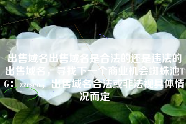 出售域名出售域名是合法的还是违法的出售域名，寻找下一个商业机会蜘蛛池TG：zzcseo，出售域名合法或非法视具体情况而定