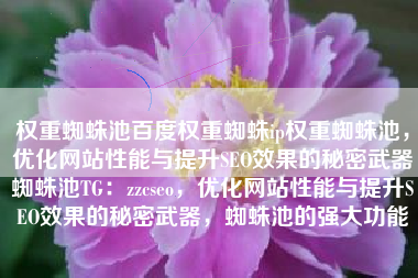 权重蜘蛛池百度权重蜘蛛ip权重蜘蛛池,优化网站性能与提升SEO效果的秘密武器蜘蛛池TG:zzcseo,优化网站性能与提升SEO效果的秘密武器,蜘蛛池的强大功能 权重蜘蛛池百度权重蜘蛛ip权重蜘蛛池,优化网站性能与提升SEO效果的秘密武器蜘蛛池TG:zzcseo,优化网站性能与提升SEO效果的秘密武器,蜘蛛池的强大功能