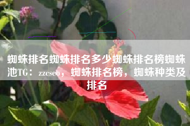 蜘蛛排名蜘蛛排名多少蜘蛛排名榜蜘蛛池TG：zzcseo，蜘蛛排名榜，蜘蛛种类及排名