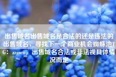 出售域名出售域名是合法的还是违法的出售域名，寻找下一个商业机会蜘蛛池TG：zzcseo，出售域名合法或非法视具体情况而定