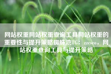 网站权重网站权重查询工具网站权重的重要性与提升策略蜘蛛池TG:zzcseo,网站权重查询工具与提升策略 网站权重网站权重查询工具网站权重的重要性与提升策略蜘蛛池TG:zzcseo,网站权重查询工具与提升策略